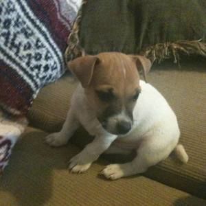 Meet your Posher, Jon